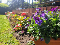 Commercial Grounds Maintenance (CGM)