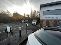 Concorde Commercial Maintenance LTD
