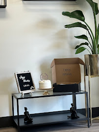 Owl Photography Studio