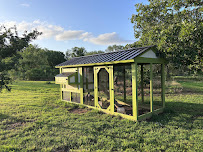All Purpose Construction LLC