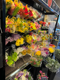 Harmons Emigration Market