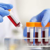 Premier One Courier & Transportation Services LLC