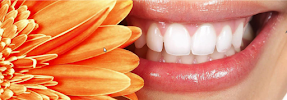 Dental Clinic Dr.Mansouri