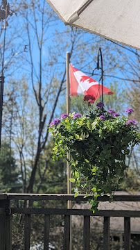 Stuart Robson Dentistry