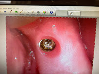 Hola Dentistry ,Bradford Holland street family dentist