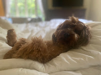 Fairview Family Dental