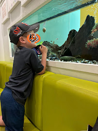 Burlington Pediatric Dentistry