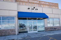 Camp Sayahh Kids Dental Care (Cochrane)