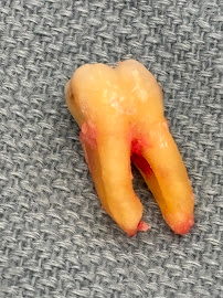 Dental Care of Edmond