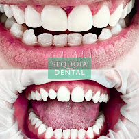 Westwood Dental Group