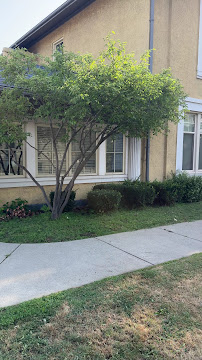 Downtown Sleep Dentistry and Oral Surgery