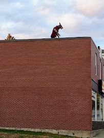 Northside Dental Clinic