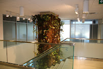 Kerr Dental Clinic