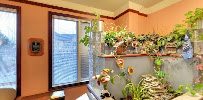 Sherwood Dental