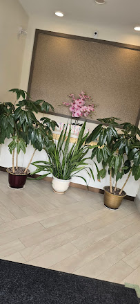 Highland Creek Dental