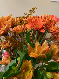 Medianick Timothy, DMD, FICOI