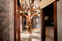 dentalhouse - Woodbridge Dental