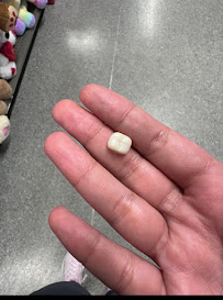 Dra. Carolina Bermúdez