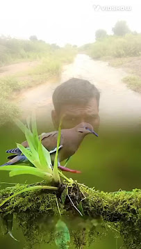 Dentistas 4 you - Clínicas Dentárias