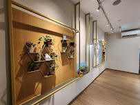 Specialist Dental Group (Mount Elizabeth Orchard)