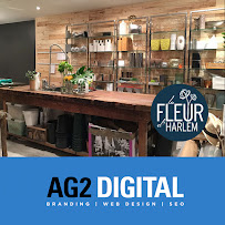 Chauncey Agency (Experts in Digital Marketing, SEO, E-Commerce, & Social Media)