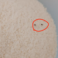 Fazzari Distribuzione - Forniture Pasticceria,Gelateria e Panificazione