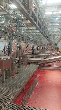 مدينة الأنعام النموذجية