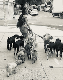 MindfulPups