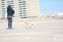LovePup Training