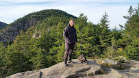 Mike Preis Dog Training