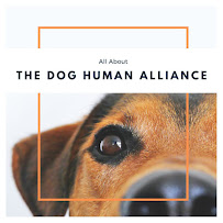 The Dog Human Alliance