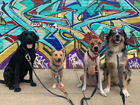 Pets Best Friend NYC