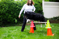 Positive Canine Training and Services, LLC.