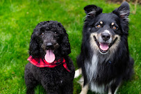 Positive Canine Training and Services, LLC.