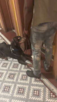 The Pet Whispers LLC