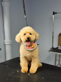 Happy Tails Pup Experience