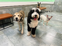 City Tails NYC