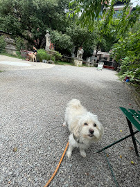 The Martial ARFS Dog Training & Fitness Center