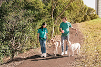 Mad Paws HQ | Pet Sitter & Dog Walker Marketplace