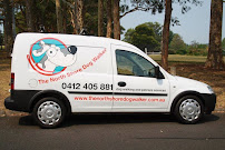 The North Shore Dog Walker