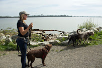 Vancouver Canine Dog Walking