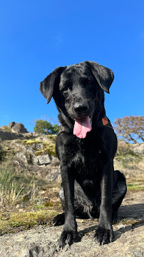 A Walk in the Park Pet Care