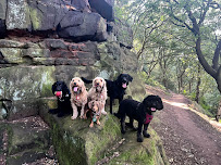 Warrington Dog Walker