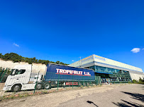 Universal Import Export UK LTD