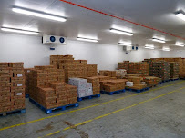 MD Import Export Ltd