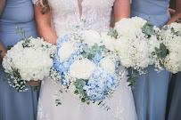 Lisa Williams Event Planning