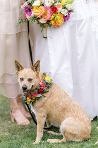 Tami Winn Events