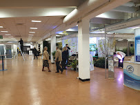 Lion Exhibition Services Ltd