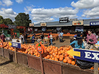 Cox Farms