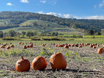 Great Country Farms